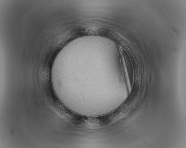 X0000112770603200909031612