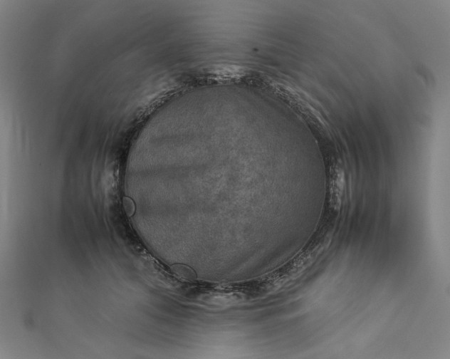 X0000112770608200909031612