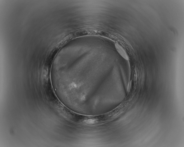 X0000112770610200909031612