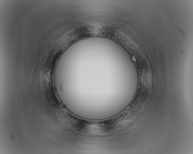 X0000112770611200909031612