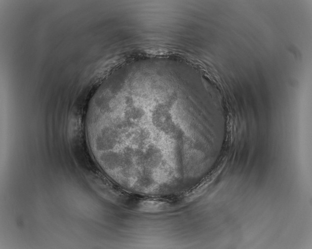 X0000112770614200909031612