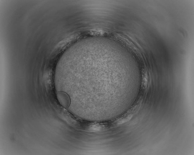 X0000112770616200909031612