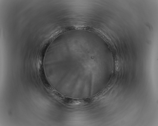 X0000112770618200909031612