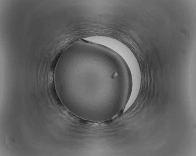 X0000112770621200909031612