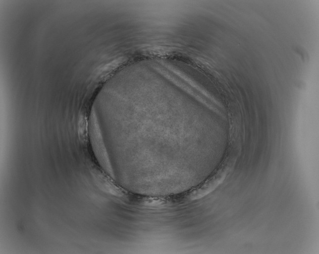 X0000112770624200909031612