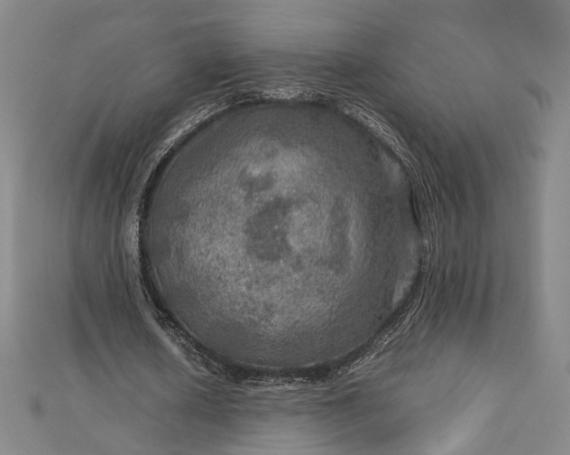 X0000112770626200909031611