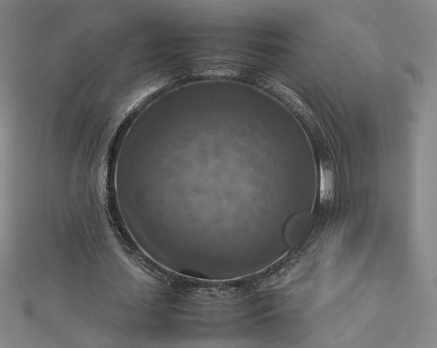 X0000112770627200909031611