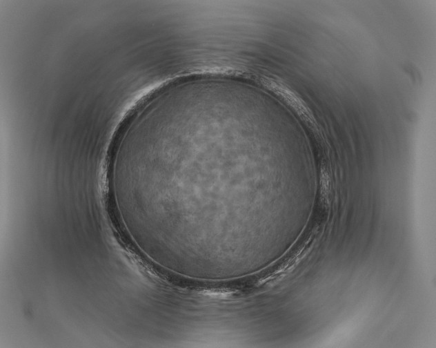 X0000112770628200909031611