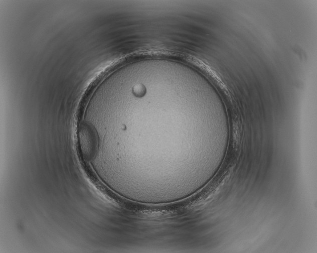 X0000112770629200909031611