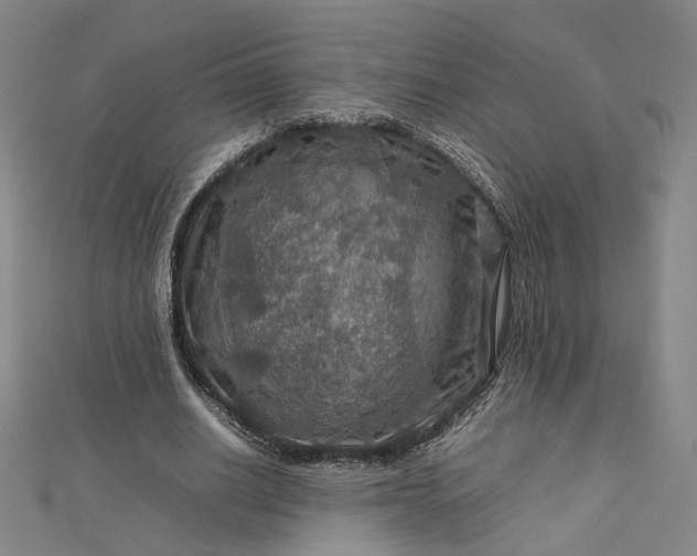 X0000112770630200909031611