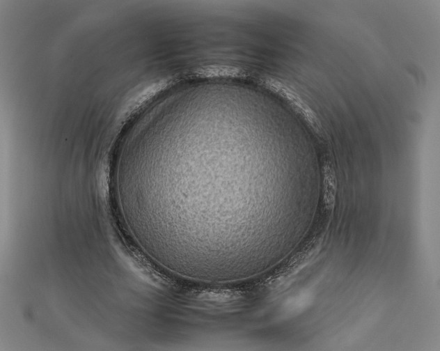 X0000112770631200909031611