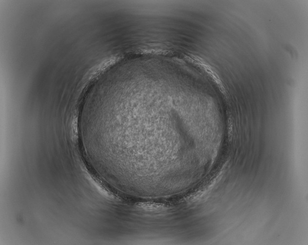 X0000112770633200909031611