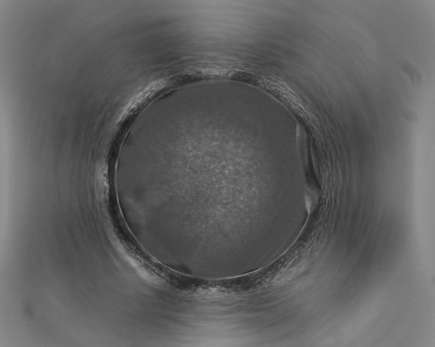 X0000112770634200909031611