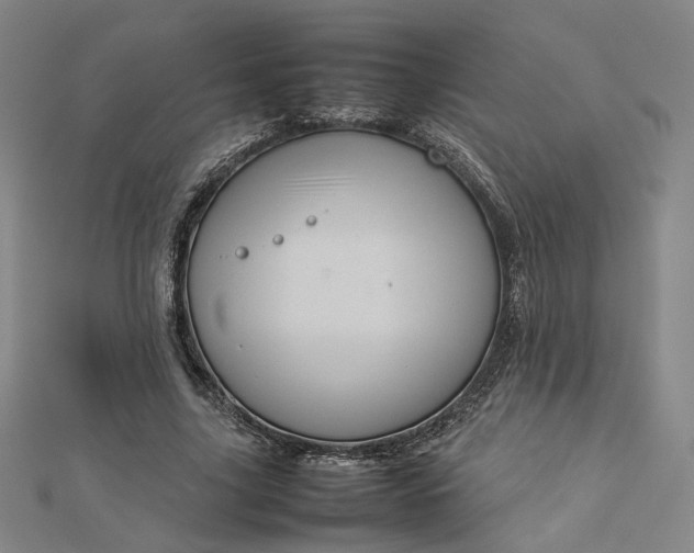 X0000112770635200909031611