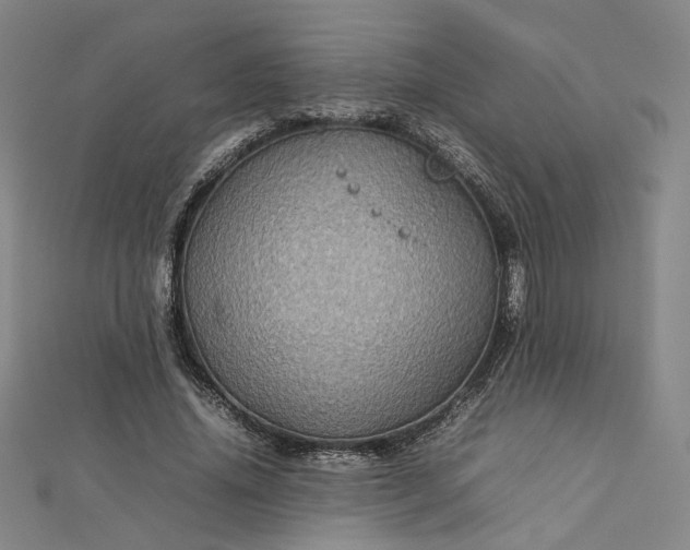 X0000112770636200909031611