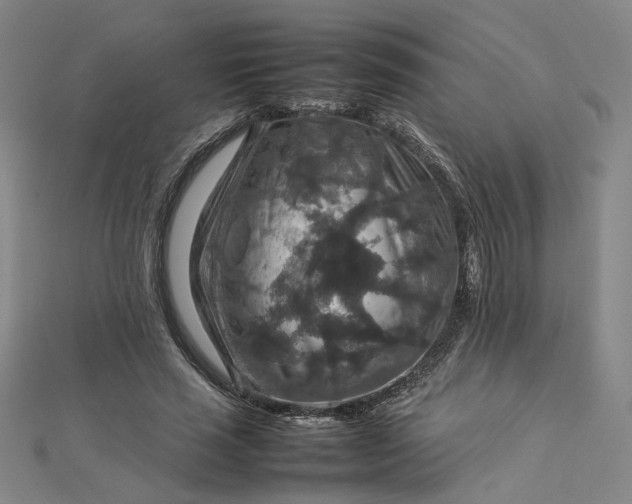 X0000112770637200909031611