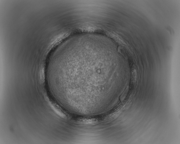 X0000112770638200909031611