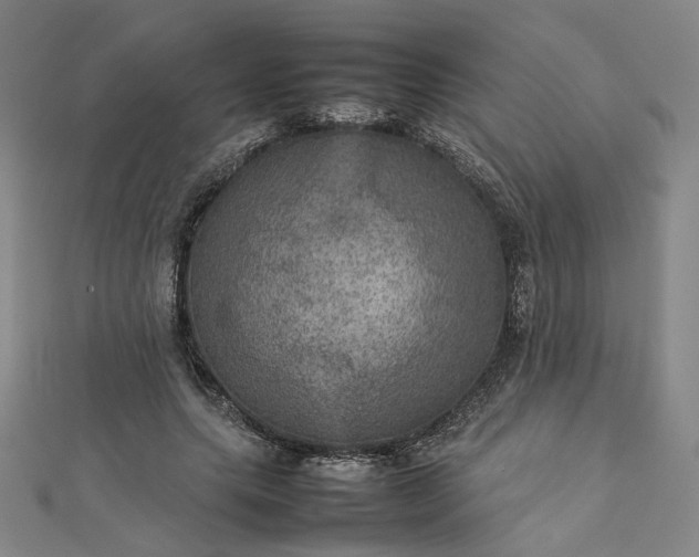 X0000112770639200909031611