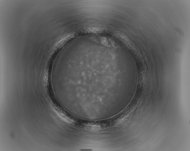 X0000112770640200909031611