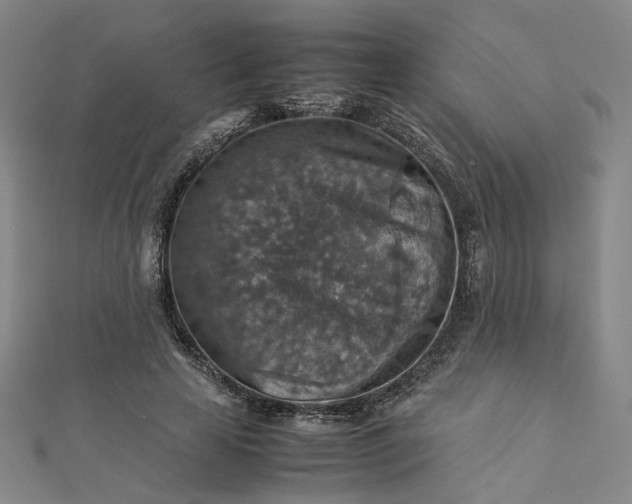 X0000112770641200909031612