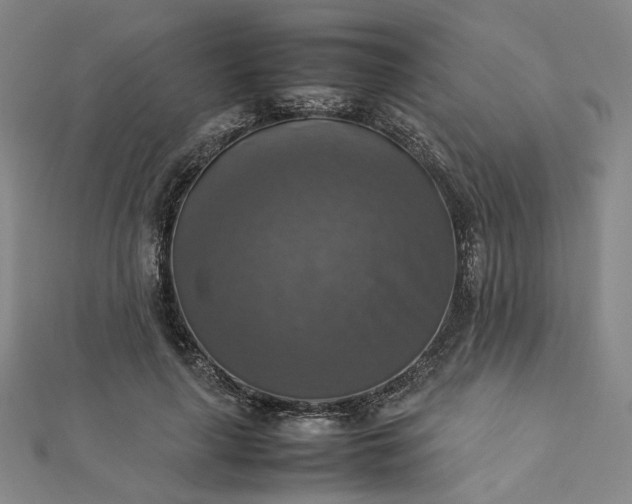 X0000112770643200909031612