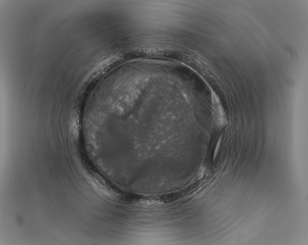 X0000112770644200909031612