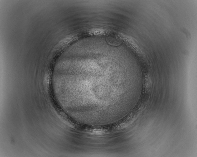 X0000112770645200909031612