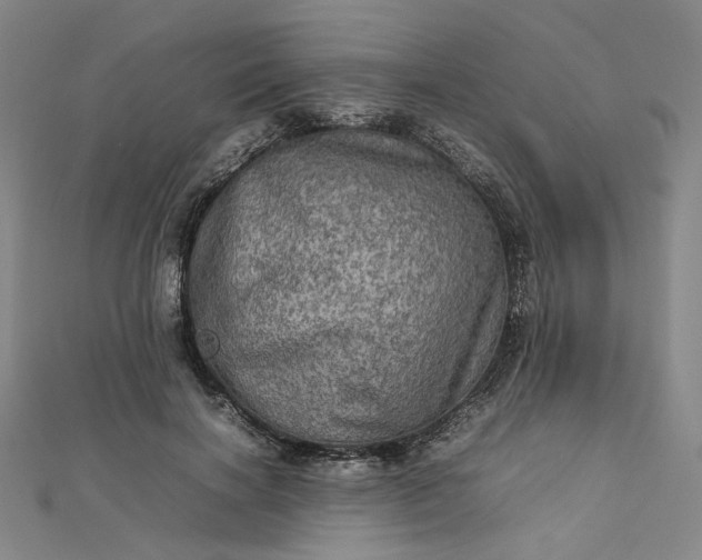 X0000112770646200909031612