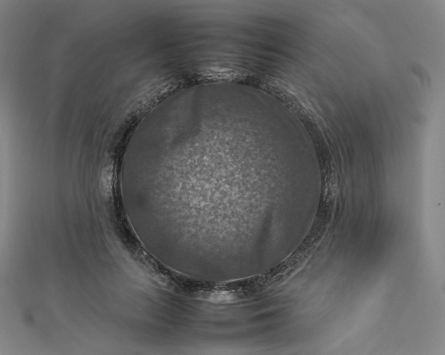 X0000112770647200909031612