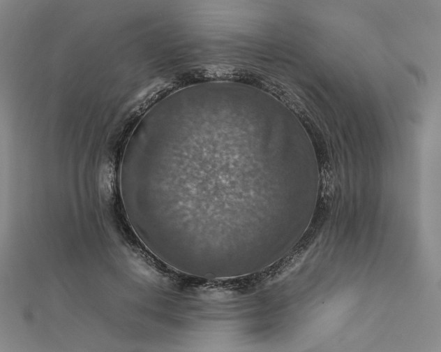 X0000112770648200909031612