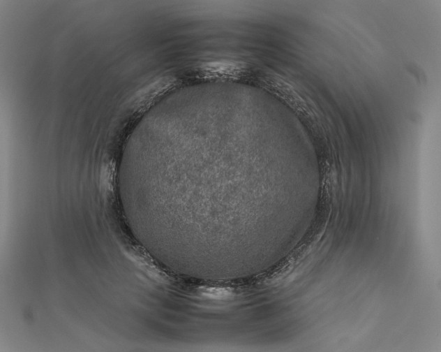 X0000112770649200909031612