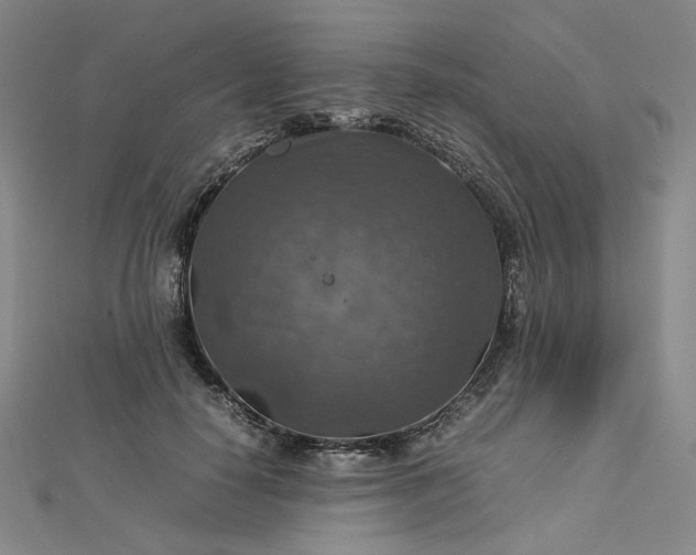 X0000112770650200909031612