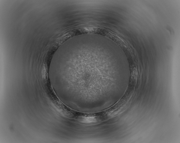 X0000112770651200909031612