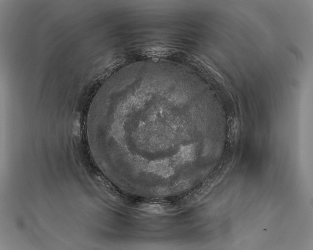 X0000112770655200909031612