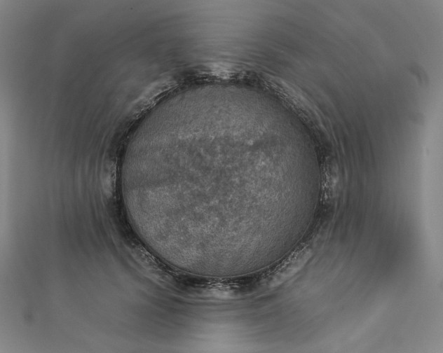 X0000112770656200909031612