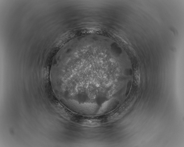 X0000112770657200909031612