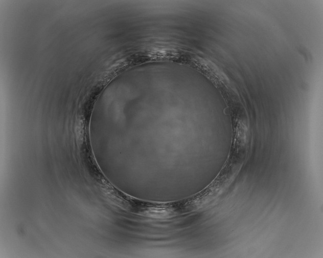 X0000112770659200909031612