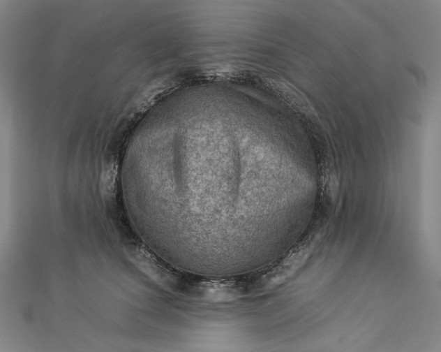 X0000112770660200909031612