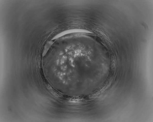 X0000112770661200909031612