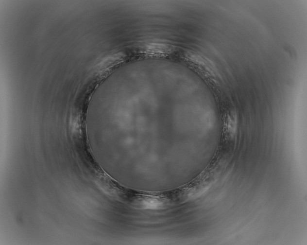 X0000112770663200909031612