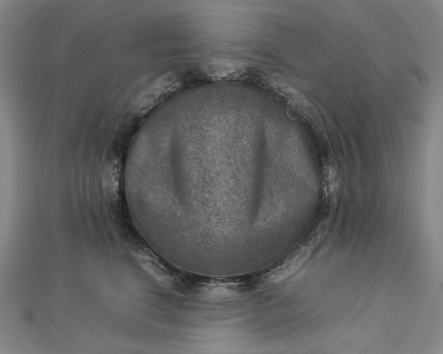 X0000112770664200909031612