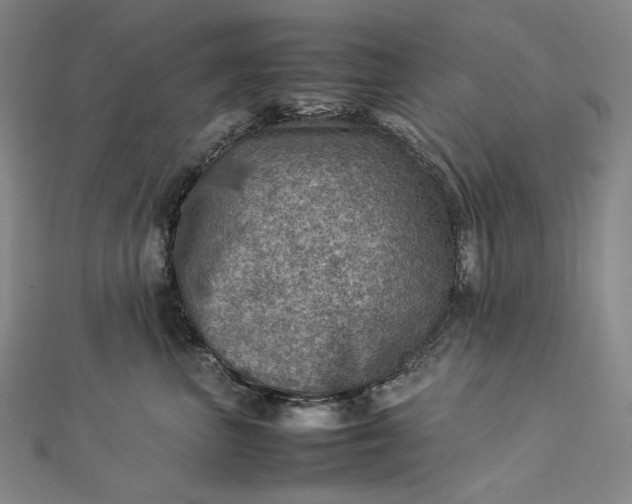 X0000112770667200909031612