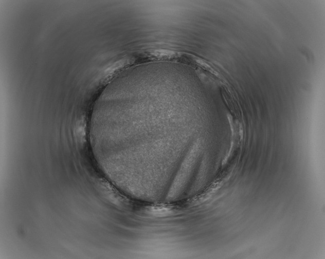 X0000112770668200909031612