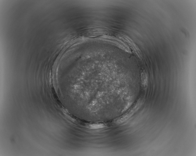 X0000112770669200909031612