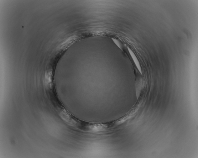 X0000112770670200909031612