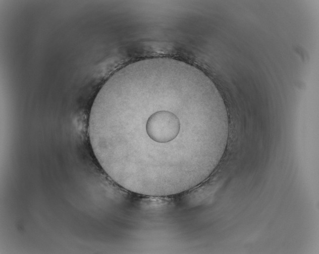 X0000112770672200909031612