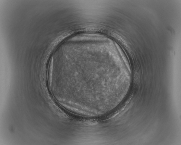 X0000112770673200909031611