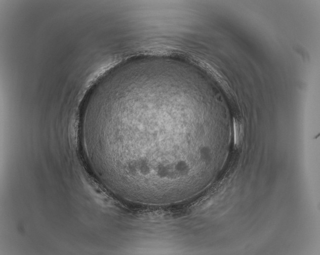 X0000112770675200909031611