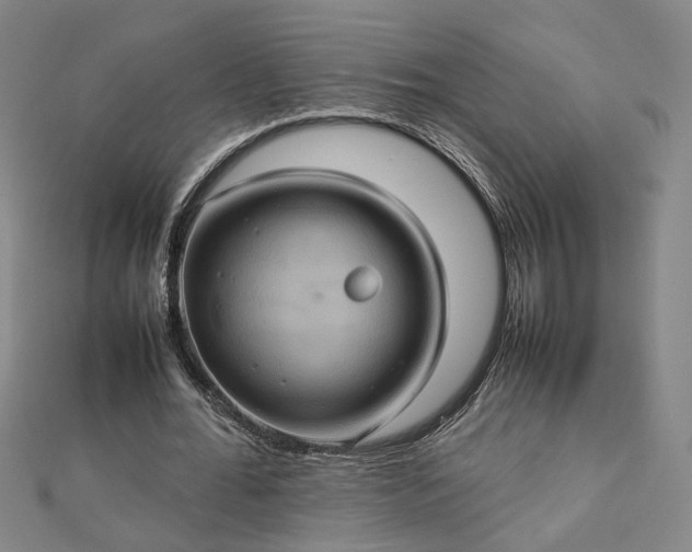 X0000112770676200909031611