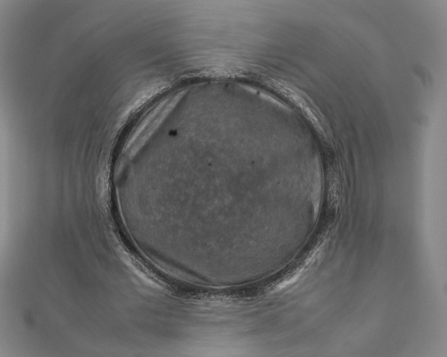 X0000112770677200909031611